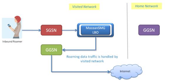 Mocean Local Mobile Data (LMD) process